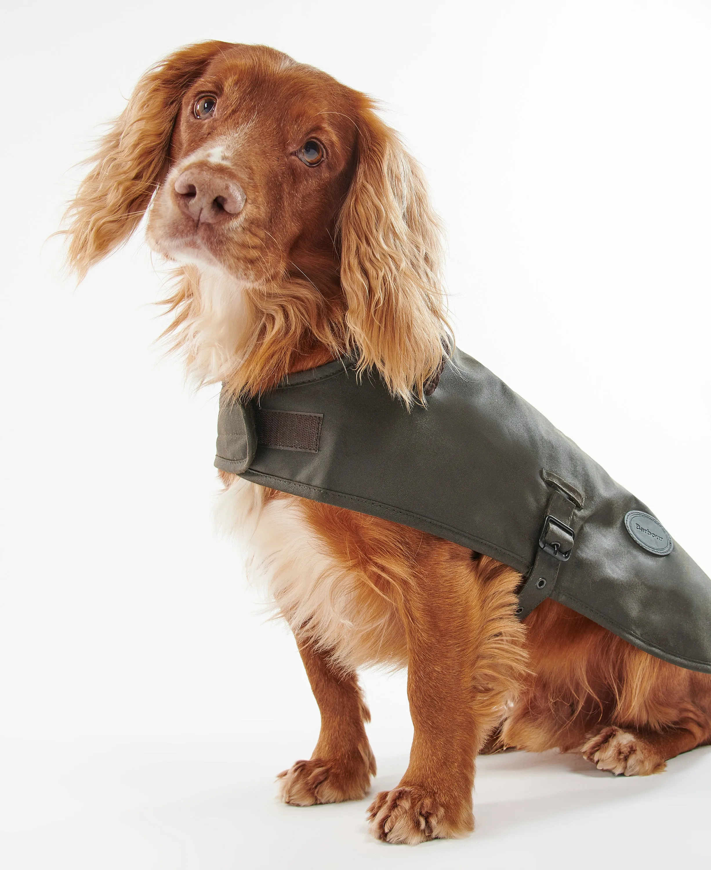 Barbour Wax Dog Coat Olive