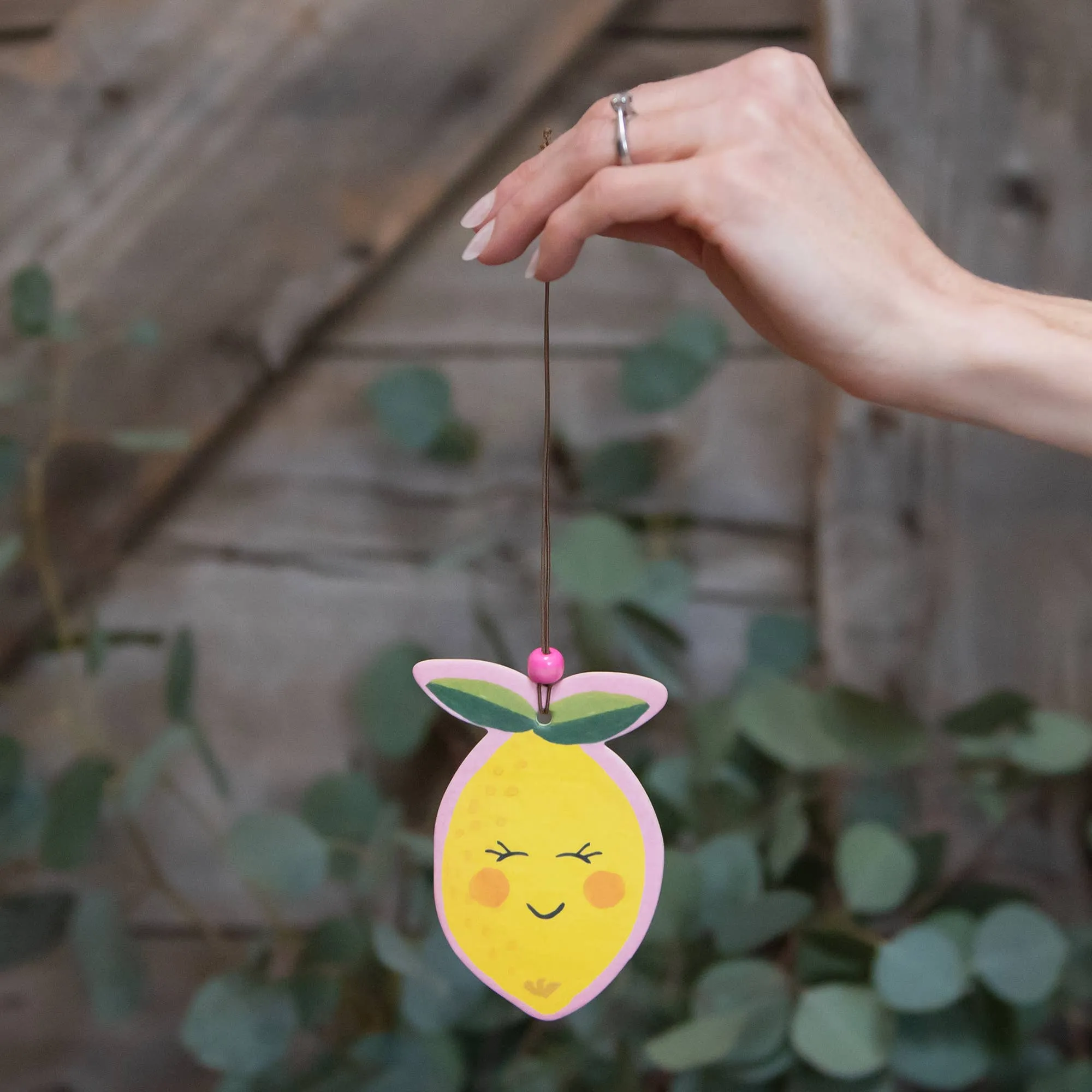 Citrus Bliss Air Freshener