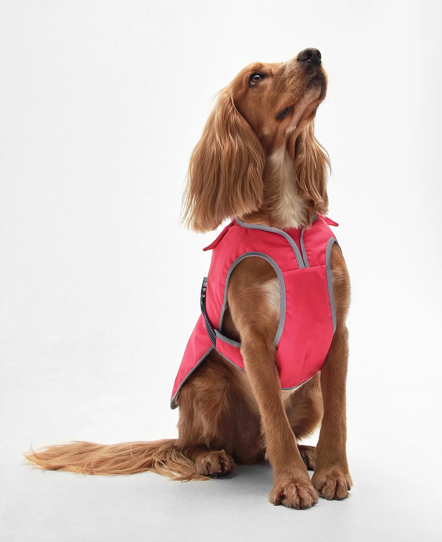 Monmouth Waterproof Dog Coat Acid Pink