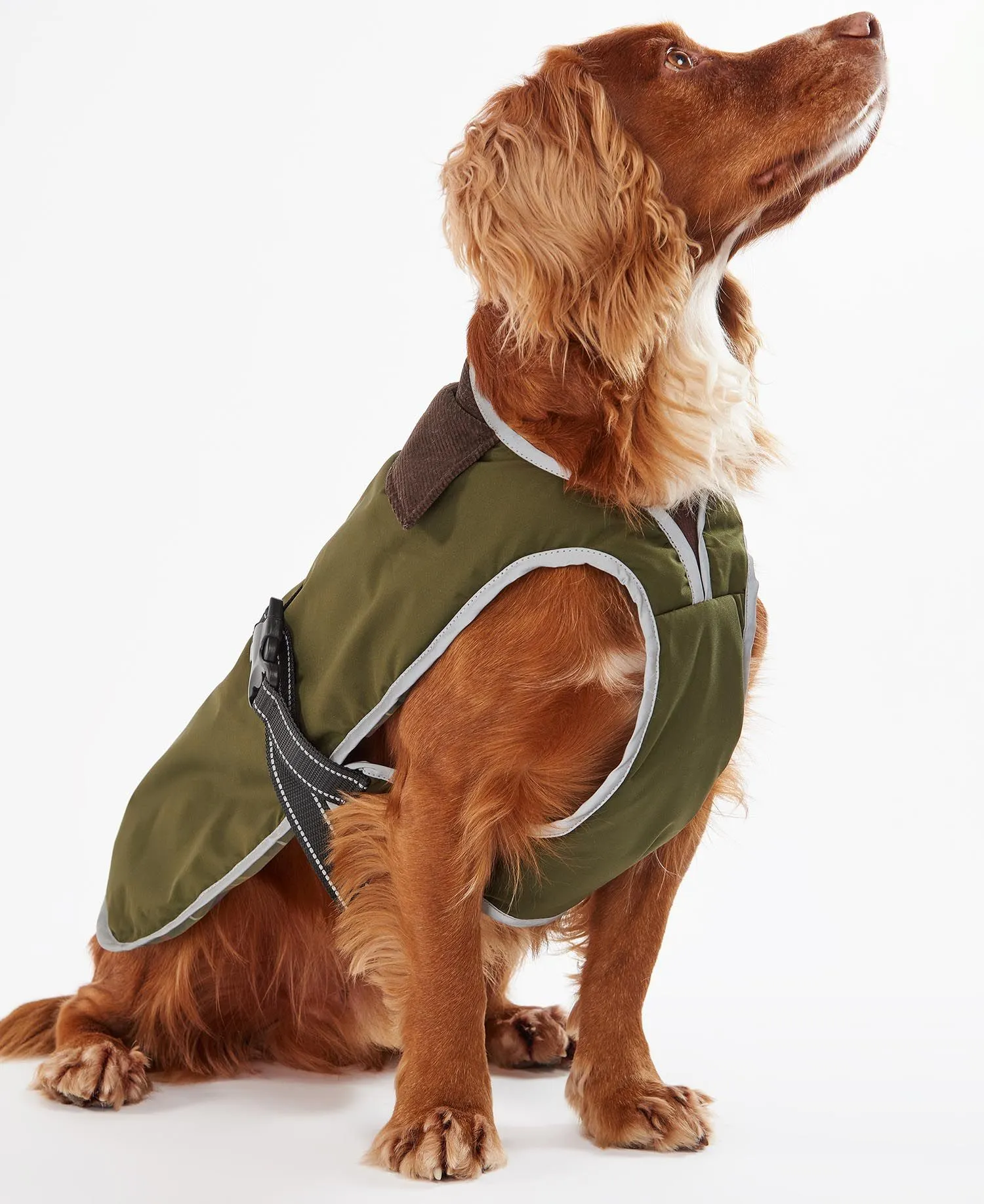 Monmouth Waterproof Dog Coat Olive