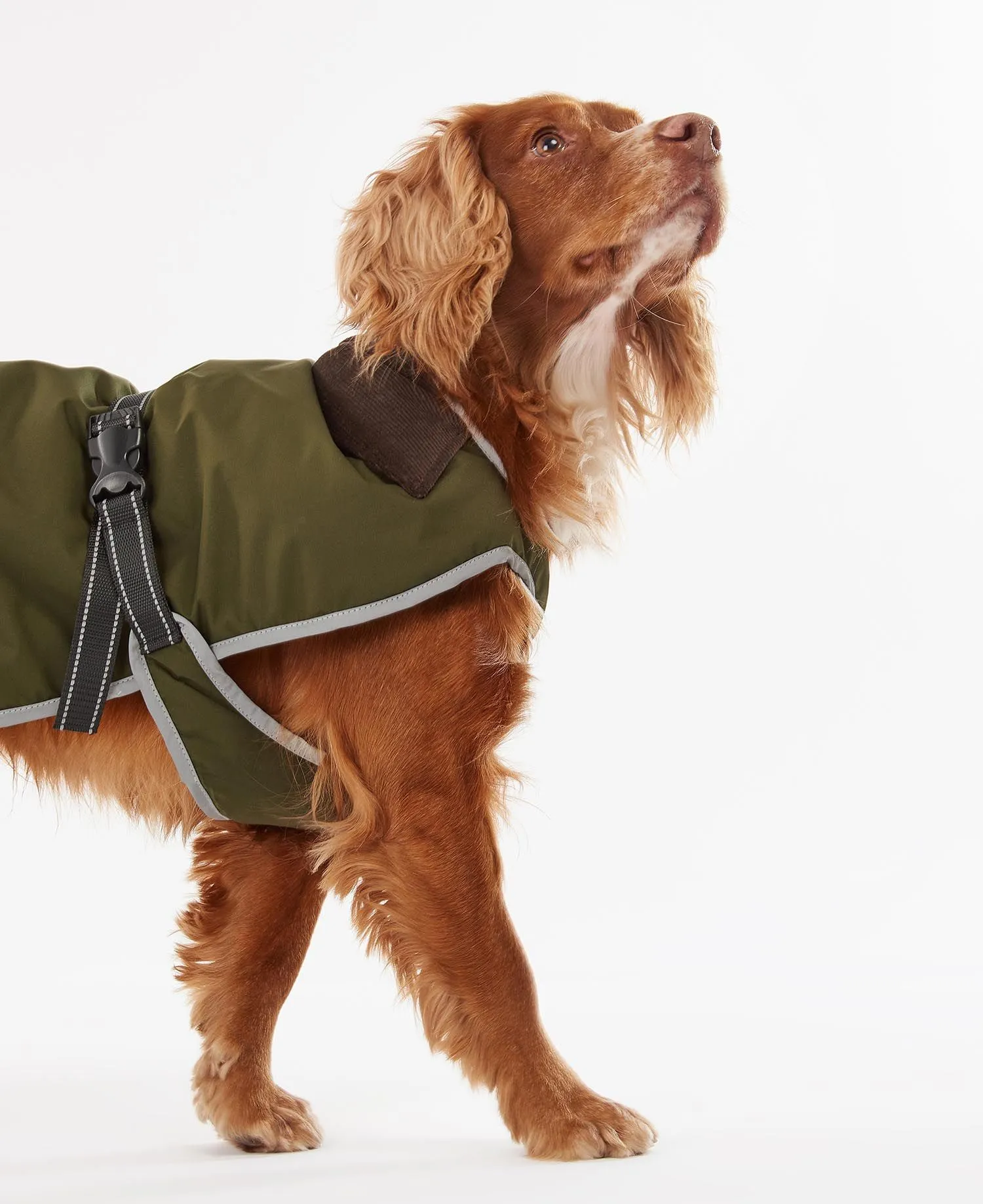 Monmouth Waterproof Dog Coat Olive