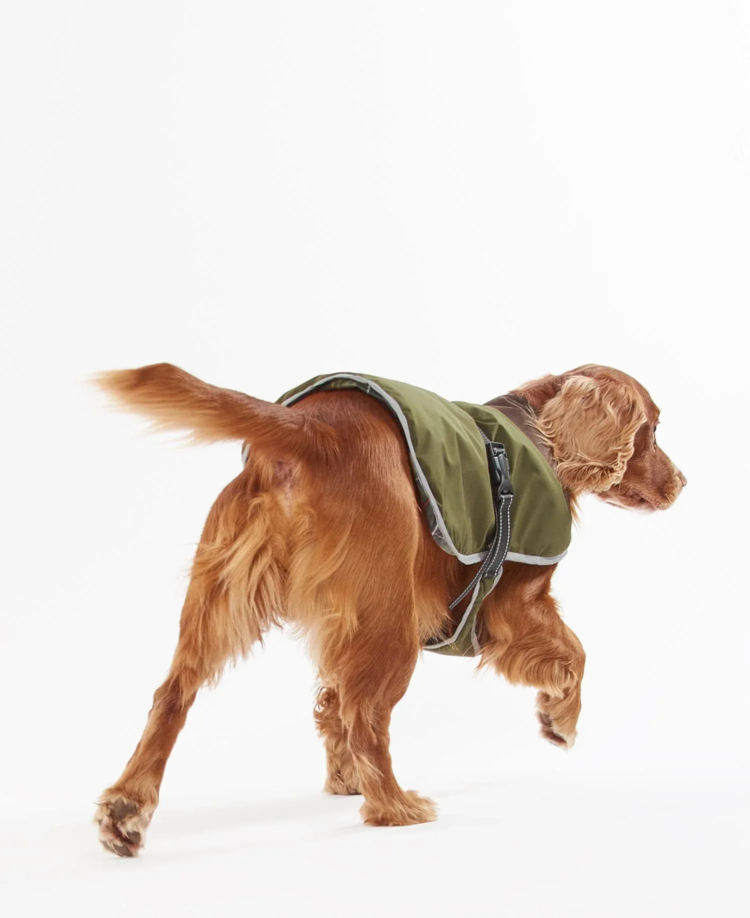 Monmouth Waterproof Dog Coat Olive