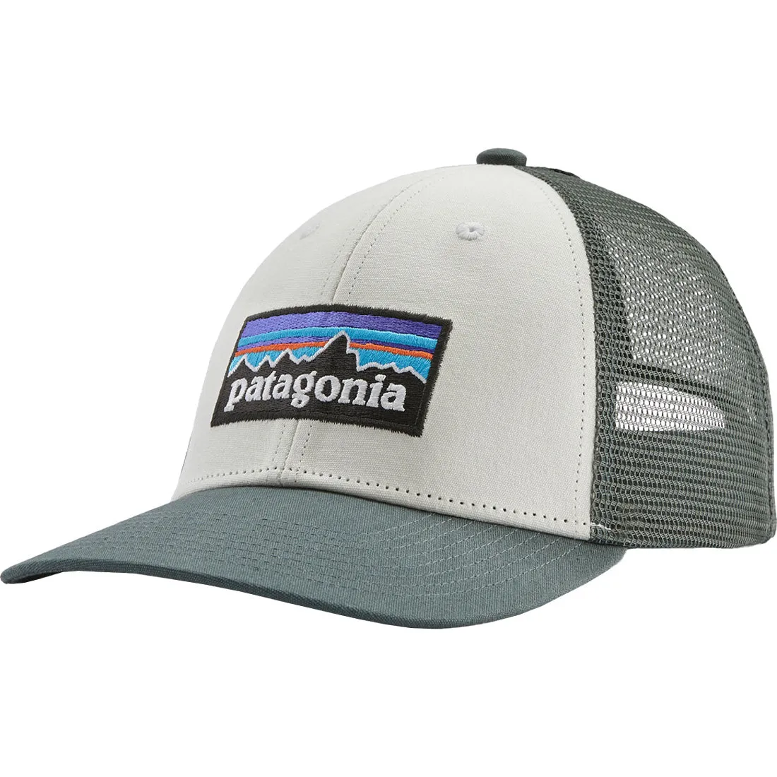 Patagonia P-6 Logo LoPro Trucker Hat