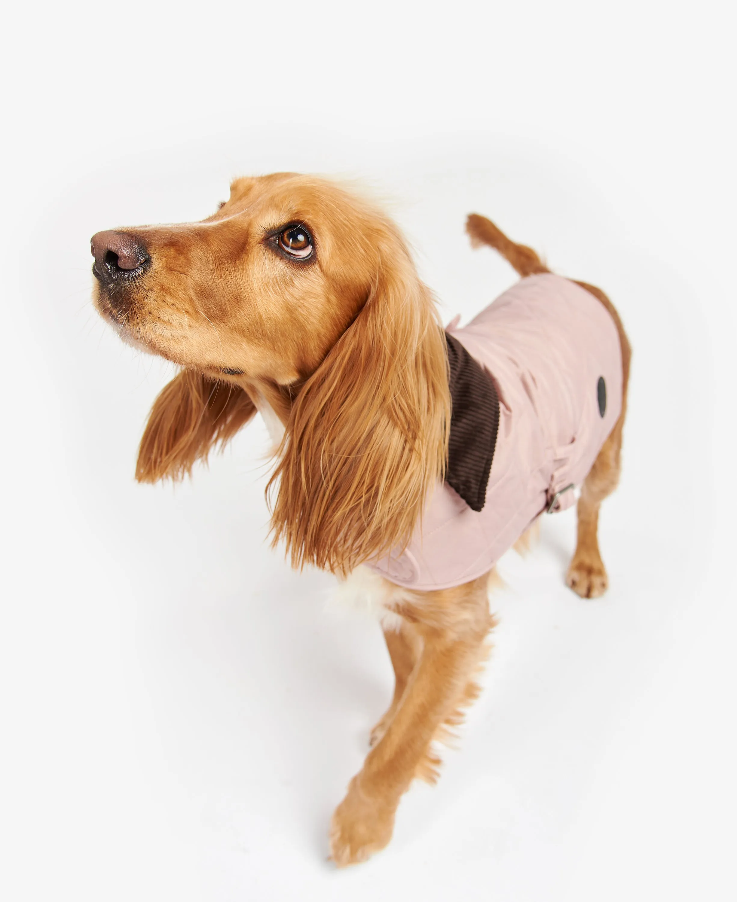 Quilted Dog Coat Pink