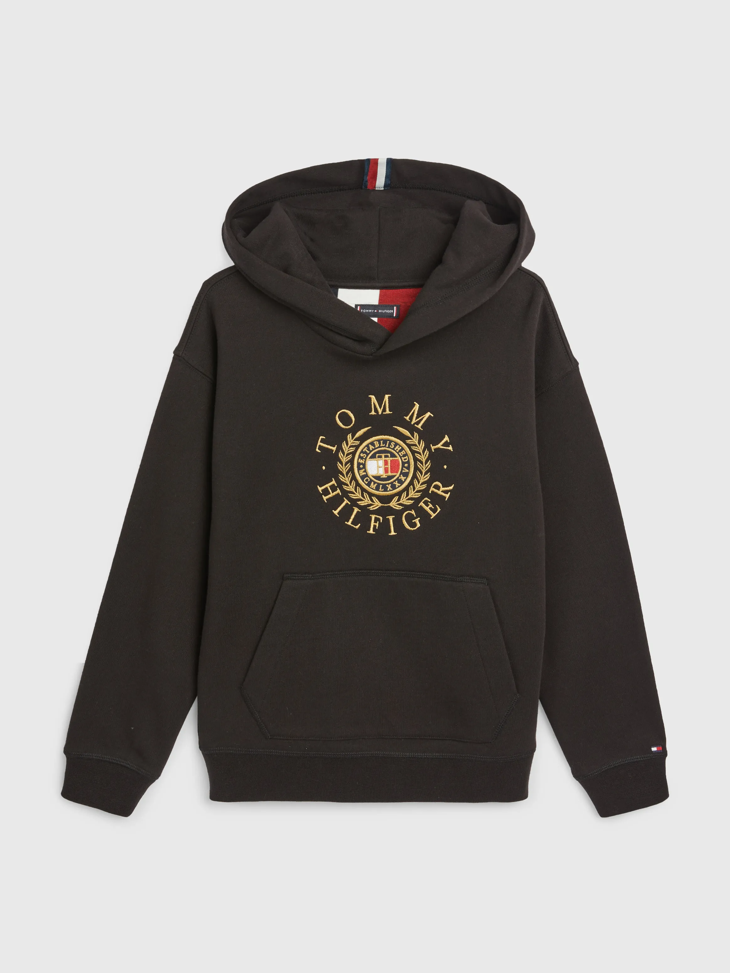 Roundall Graphic Hoodie | Sweatshirts & Hoodies | Tommy Hilfiger